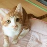 雨くん　トライアル中です サムネイル3