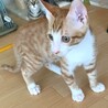 雨くん　トライアル中です サムネイル2