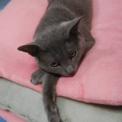 「おうちに来て1年〜経ちました」サムネイル3