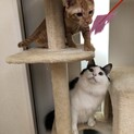 人大好きっこな ふわふわ前髪君