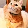 みんと99