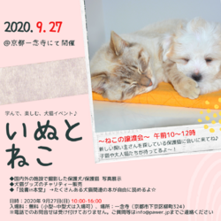 いぬとねこ 第13回