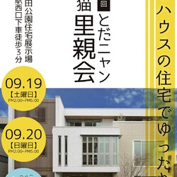 子猫祭りだよ～  とだニャン保護猫里親会