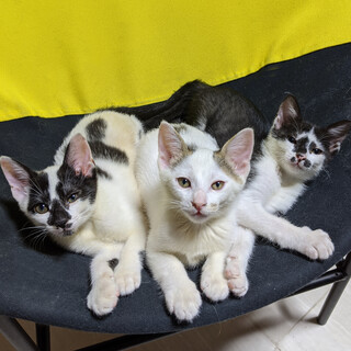 お家が決まりました