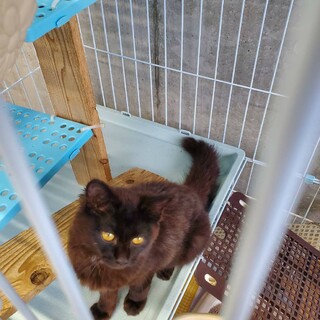 有り難うございます(^^)黒仔猫ちゃん♡