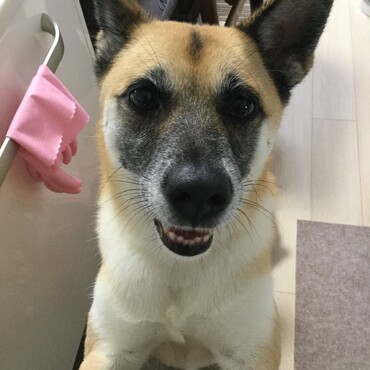 の写真