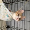 ボクちゃん、って呼んでます (=^x^=) サムネイル4