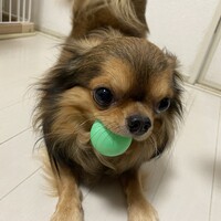 おこげ