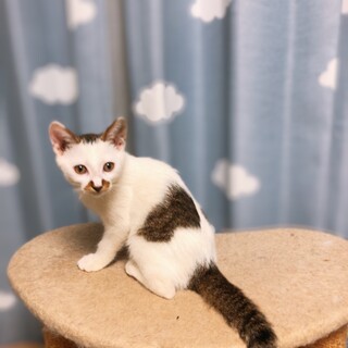 前髪かなり切り過ぎました、汗