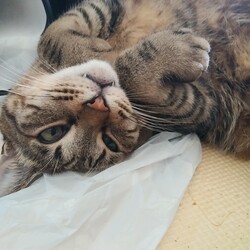 今日病院に行ってきました。え～ん(;'∀')