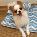 可愛がって下さい