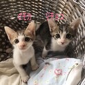 一緒に暮らしたいです♫