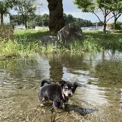 大好きな水遊び