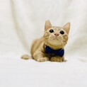 甘えん坊の仲良し兄弟【お留守番OK】