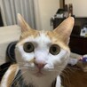 松山いずもさん