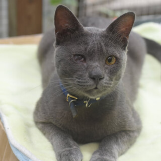 ハンサムなJ.Dくん！