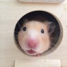 のかたのおうち