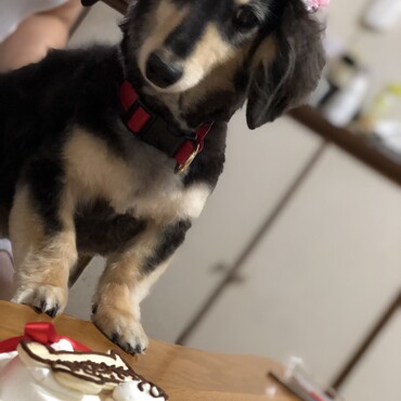 11歳のお誕生日ケーキの前で❤️