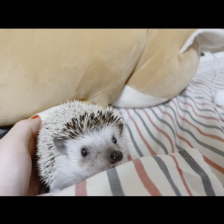 後ほどお返事致します！