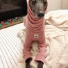 の写真
