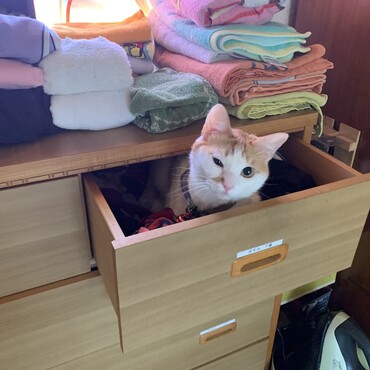 未来から来ました