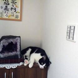 「上回る遥ちゃんのイタズラ精神」サムネイル3