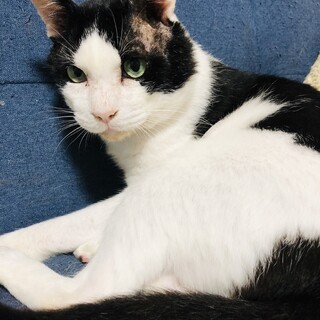 人が好きなマイペース男子♬まる君