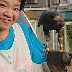 「ハワイアン・ポイ・銀太(゜_゜)？！」サムネイル3