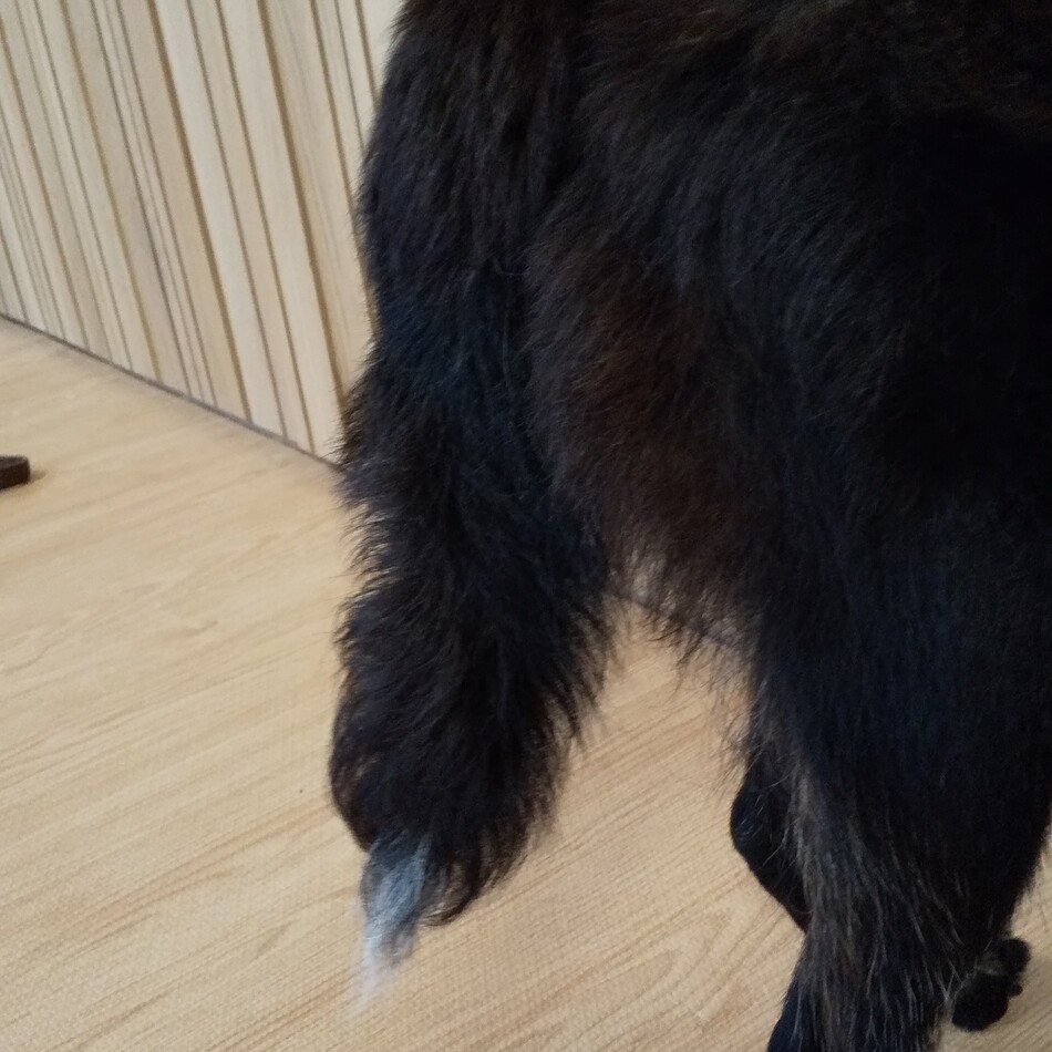 あんのカバー写真