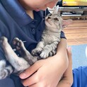 甘えん坊のさつきちゃん4か月
