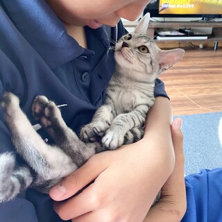 甘えん坊のさつきちゃん4か月