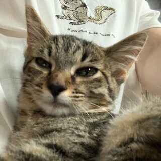 とてもかわいい姉妹です。