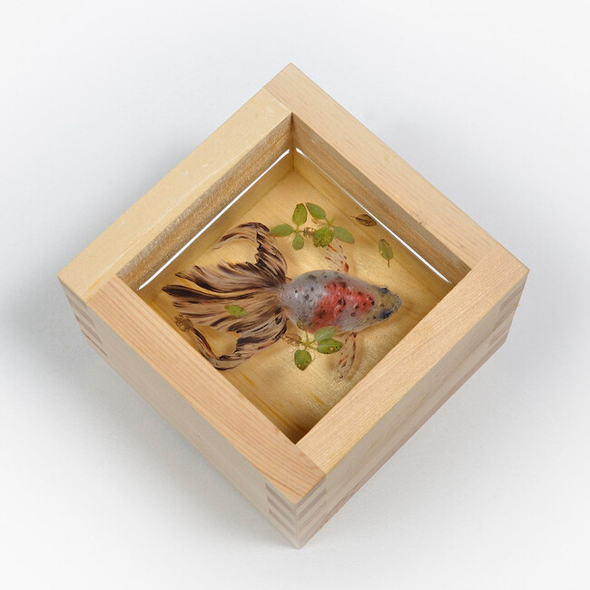 katanmamaのカバー写真