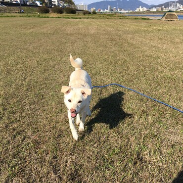 の写真
