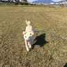 の写真