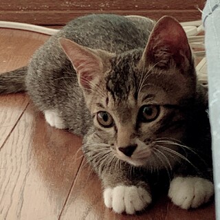 男気全開　大吾隊長