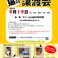 しっぽゆらゆら杜猫会主催「猫の譲渡会」