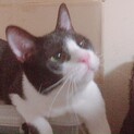 愛らしいはるくん