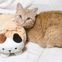 ルイちゃん