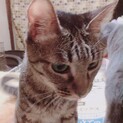 可愛いみーちゃん♡