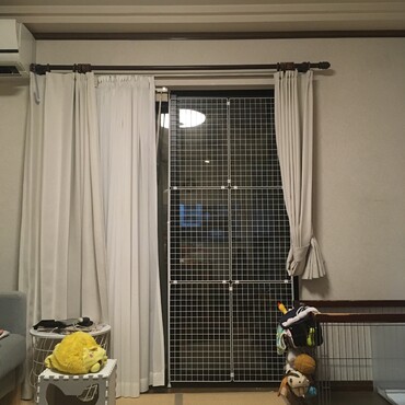 の写真