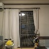 の写真