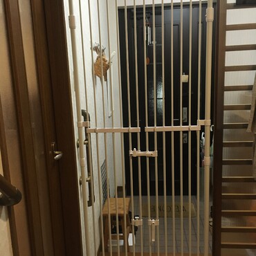 の写真