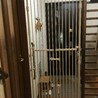 の写真