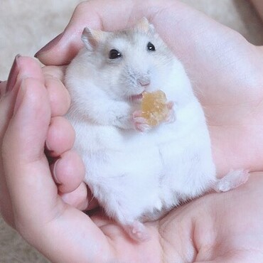 の写真