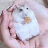 の写真