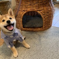 むぎ姫