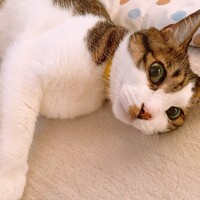 ミツキ