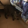 ゾロが警戒してた頃