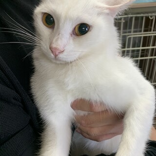 フレンドリーな姫ちゃん❣️避妊済み　